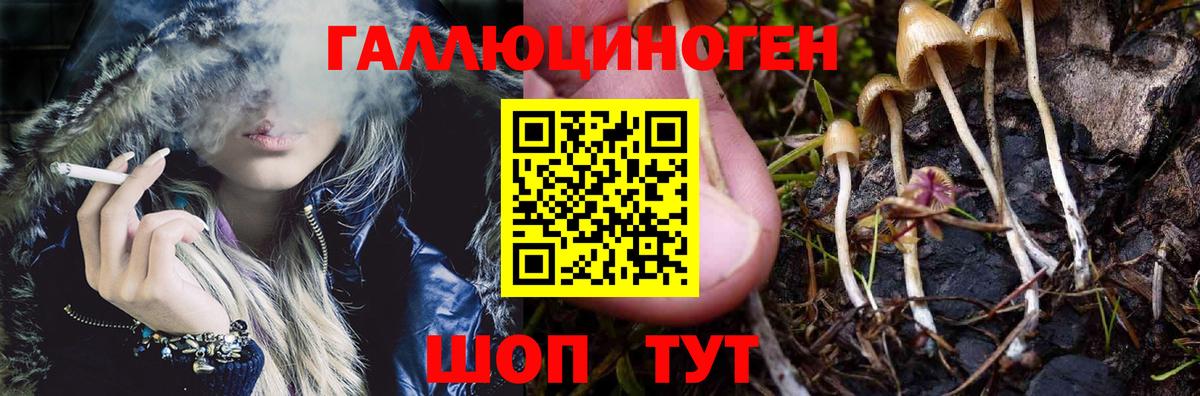 Псилоцибиновые грибы прущие грибы  как найти закладки  Десногорск  Вход с VPN 